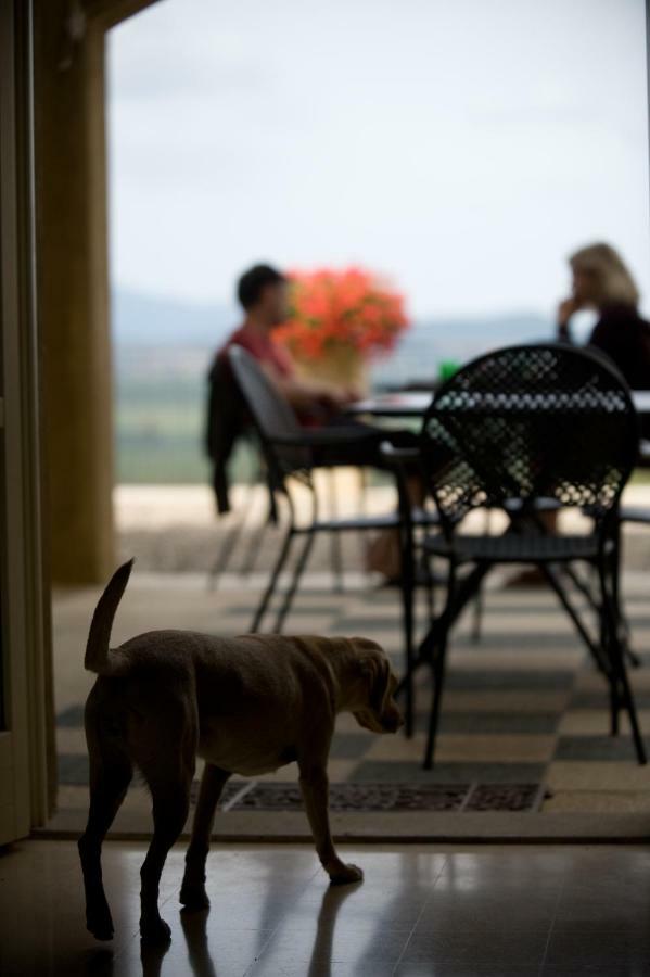Landhuis Tenuta Il Sassone - Wine&food *