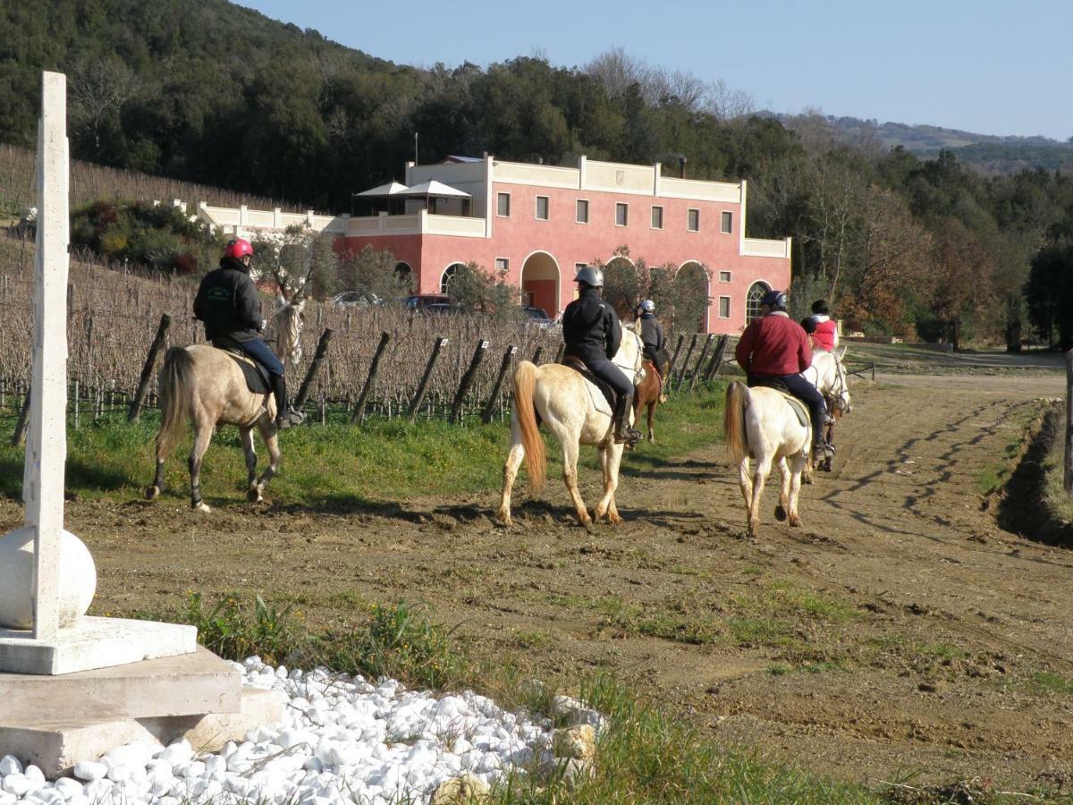 Landhuis Tenuta Il Sassone - Wine&food *