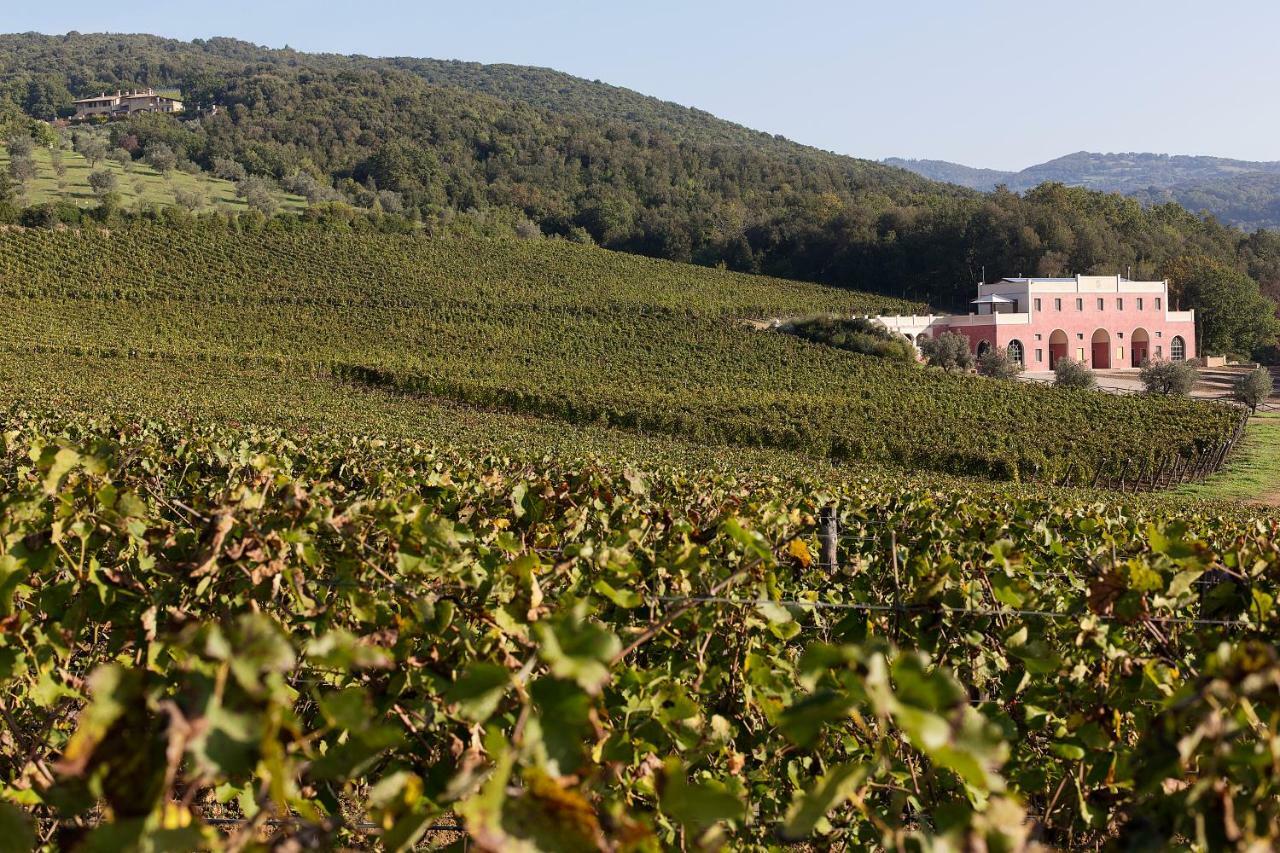 Tenuta Il Sassone - Wine&food *