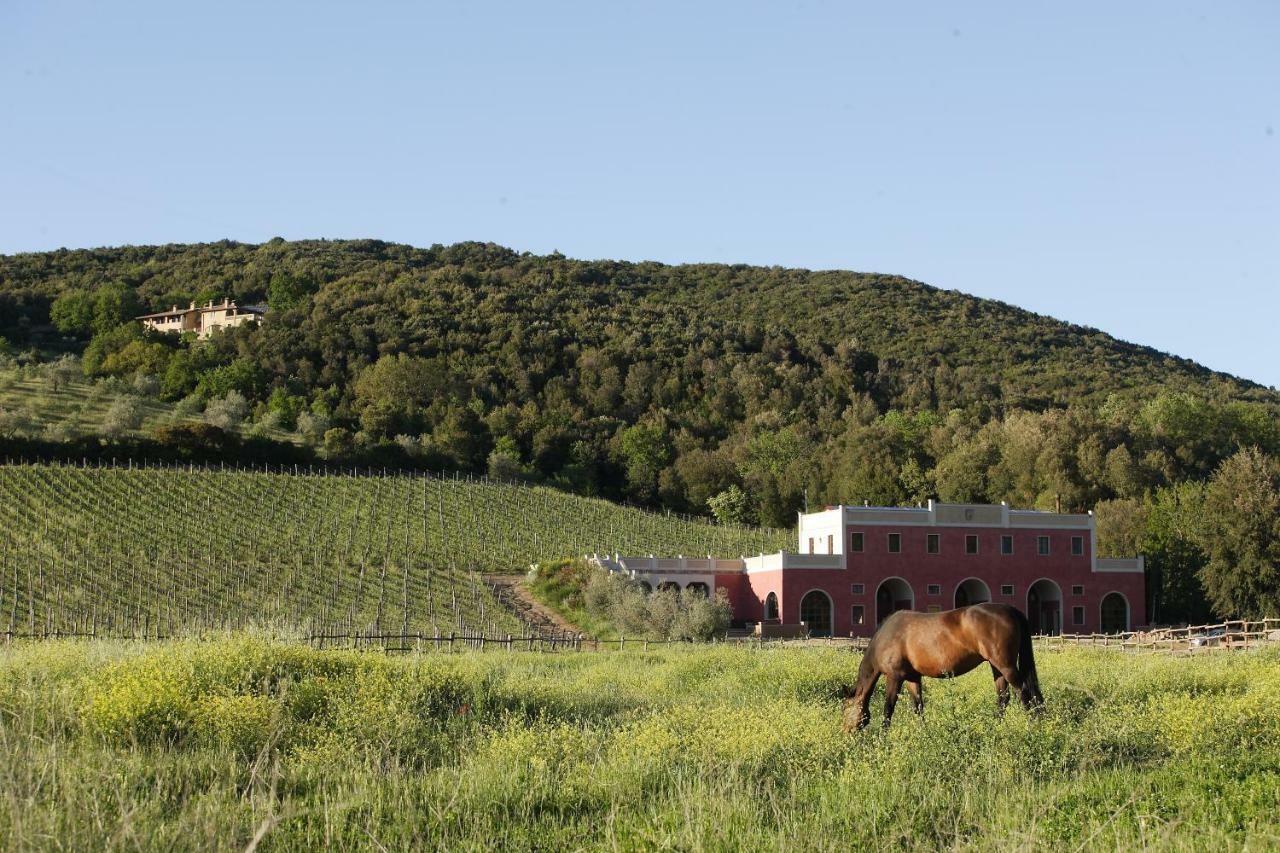 Tenuta Il Sassone - Wine&food Landhuis Massa Marittima
